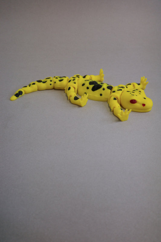 Salamander